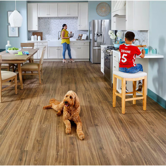 STAINMASTER Bittersweet Hickory Laminate Flooring photo 2