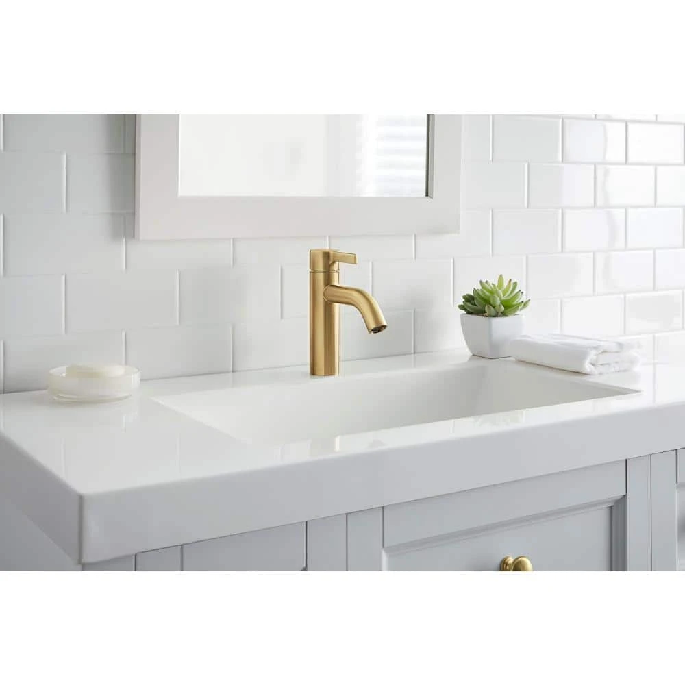GLACIER BAY Ryden Single Hole Single-Handle Bathroom Faucet in Brushed Gold photo 2